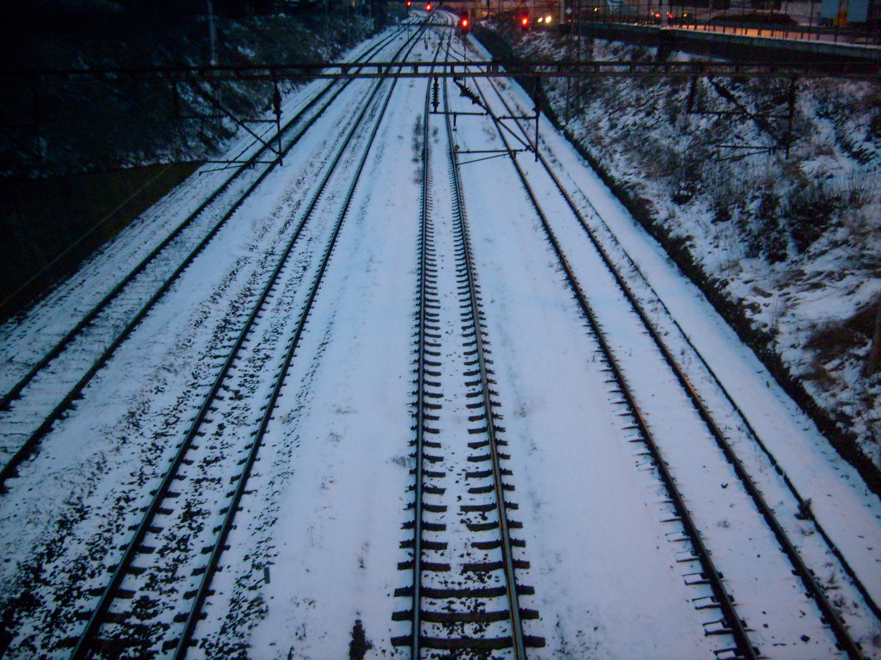 S6303082.JPG